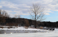 2014 Fair Haven Winter Festival