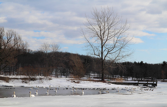 2014 Fair Haven Winter Festival