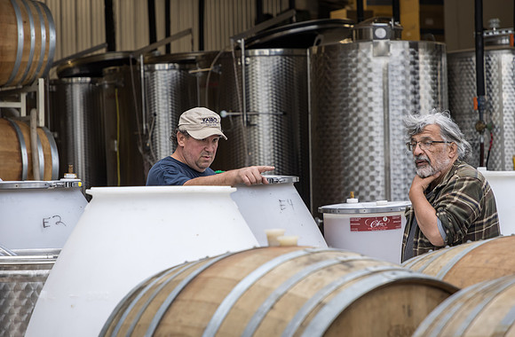 CollocaEstateWinery-03